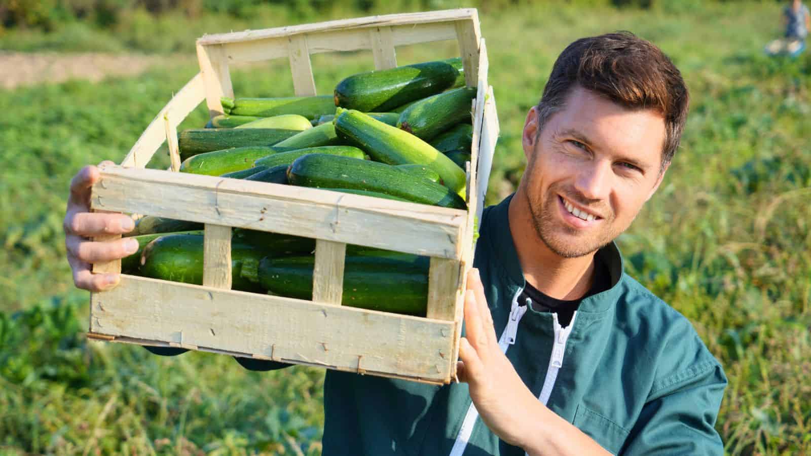 Man holding an entire container of zucchinis