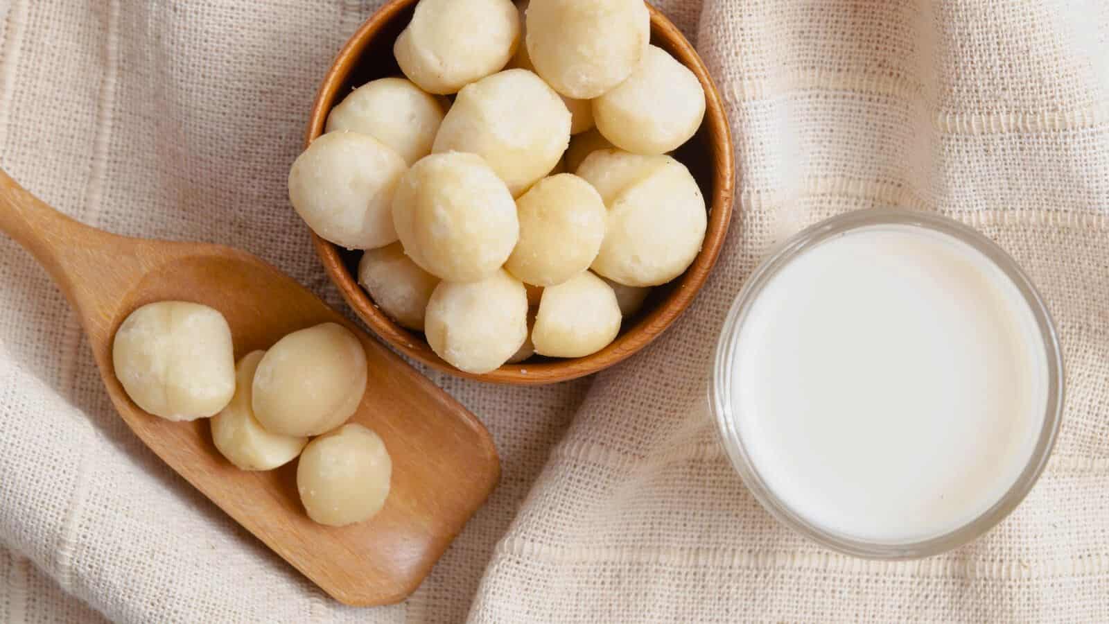 A glass of macadamia milk with a bowl and a spoon filled with macadamias beside it
