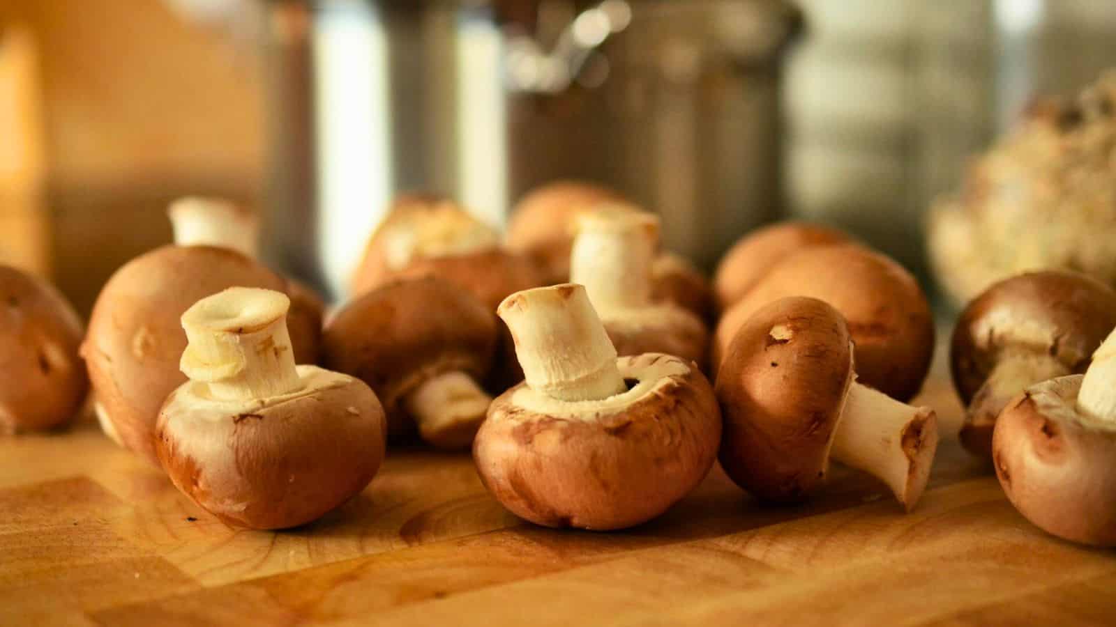 A close-up of several fresh brown mushrooms on a wooden surface. The mushrooms have white stalks and various sizes of round caps, with some in sharp focus and others slightly blurred in the background. Kitchenware items are visible in the background.