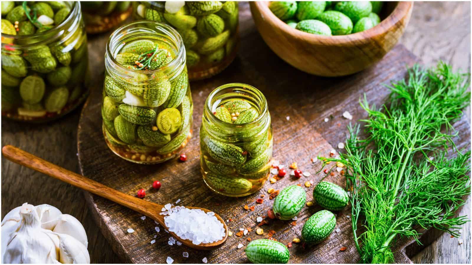 Jars of pickled cucamelons on a wooden surface surrounded by fresh dill, whole cucamelons, garlic, and a wooden spoon with coarse salt. Additional cucamelons and dill are in wooden bowls. The jars are filled with brine and spices.