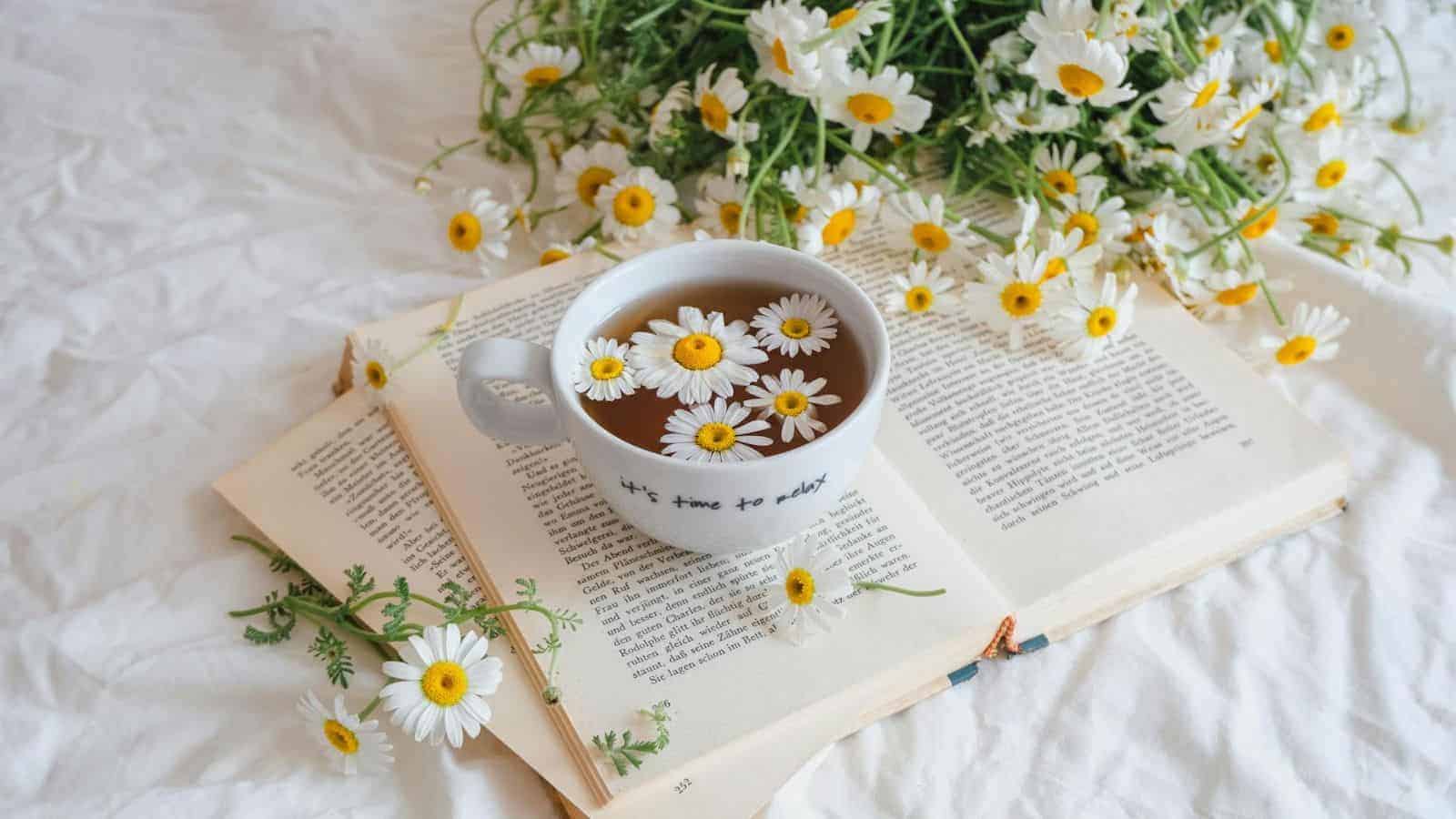 A white cup filled with tea and decorated with white daisies sits atop an open book. Fresh daisies are scattered around and on the pages. The background features a white fabric with more daisies.