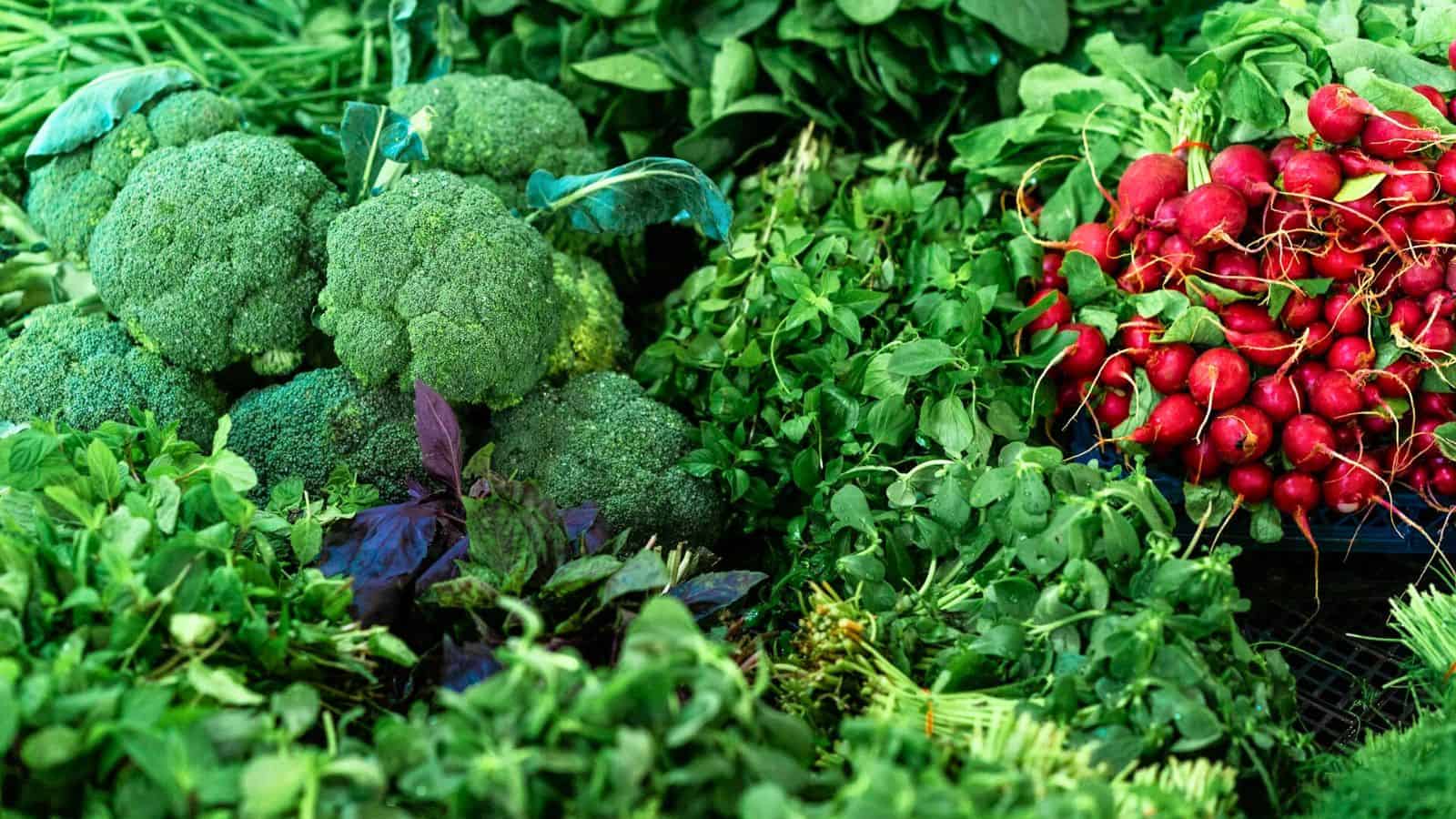 A display of fresh vegetables, including bunches of broccoli, radishes, spinach, arugula, and other leafy greens. The broccoli is on the left, the radishes are on the right, and various leafy greens are spread out in between and around them.