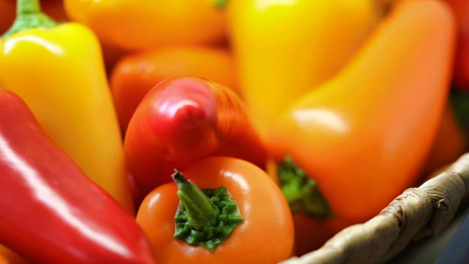 Close-up of a variety of bell peppers in a basket. The peppers are red, orange, and yellow, with green stems visible. The focus is on the vibrant colors and textures of the peppers.