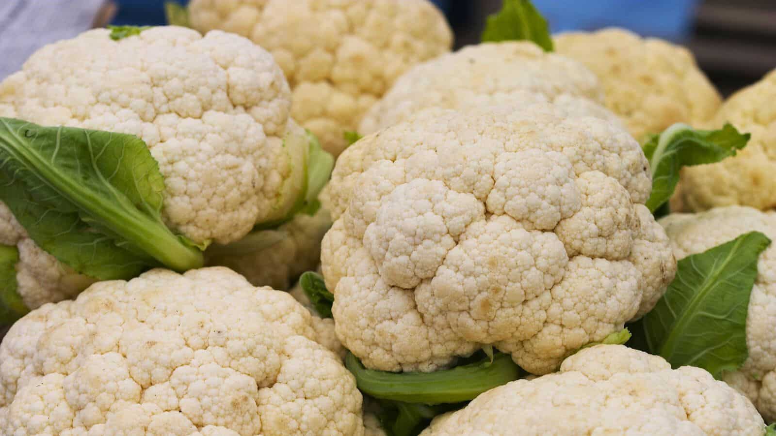 Close-up of several heads of cauliflower stacked together. The cauliflower is off-white with green leaves peeking through. The texture is bumpy, typical of cauliflower florets.