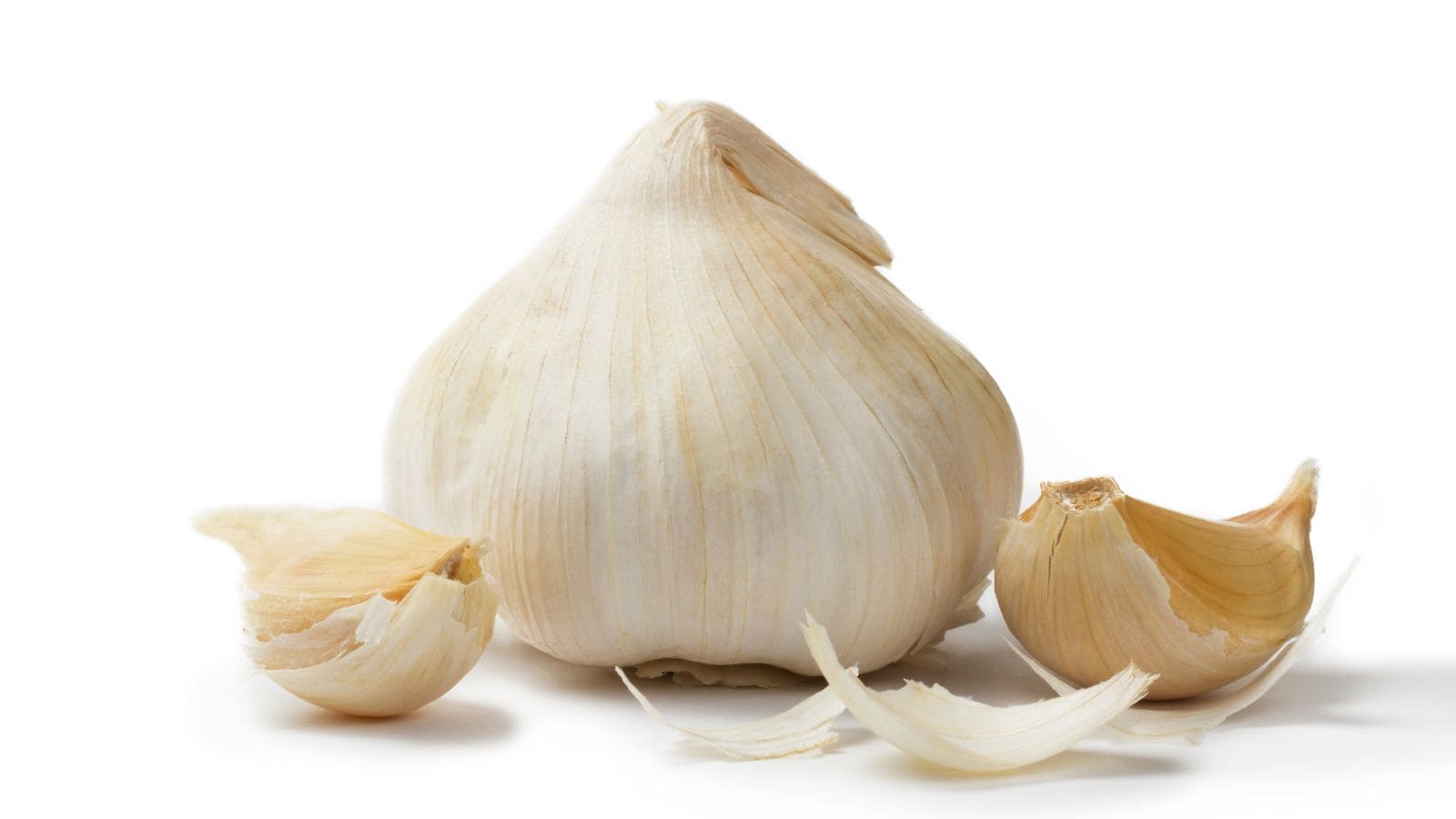 A whole garlic bulb with light brown papery skin is centered against a white background. Two garlic cloves, partially peeled, lie next to the bulb. Loose garlic skin is scattered around them.