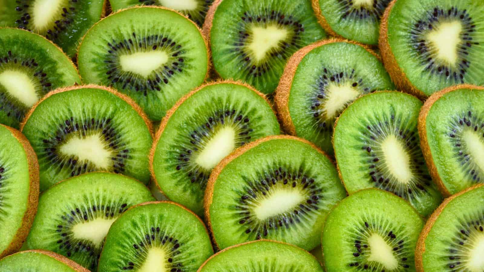 Close-up view of multiple sliced kiwi fruits displaying vibrant green flesh and small black seeds arranged in a pattern. The brown fuzzy skin edges are visible around the slices.
