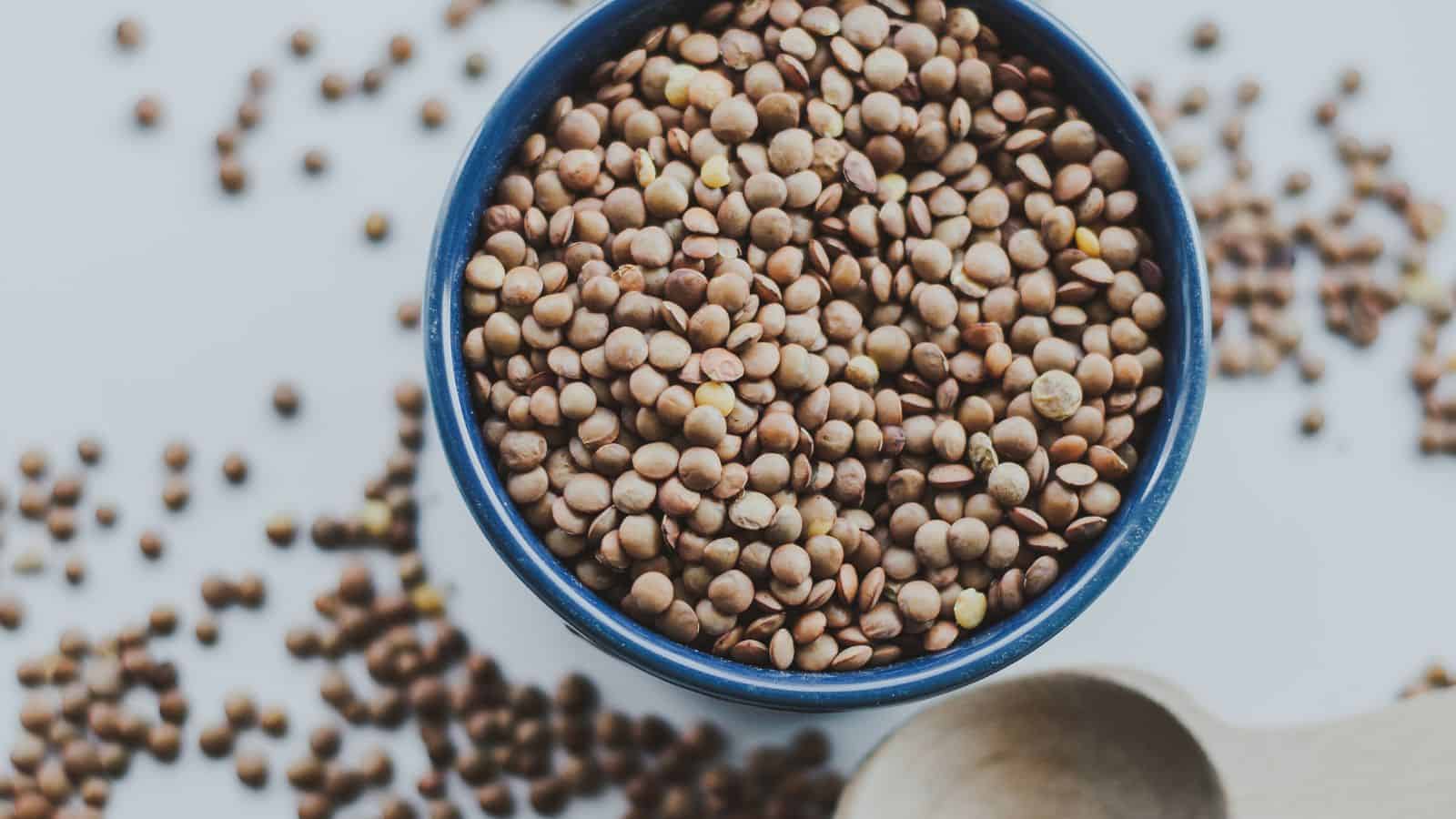 A blue bowl filled with dried brown lentils is centered in the image. Lentils are scattered around the bowl on a white surface. A wooden spoon is partially visible in the bottom right corner.