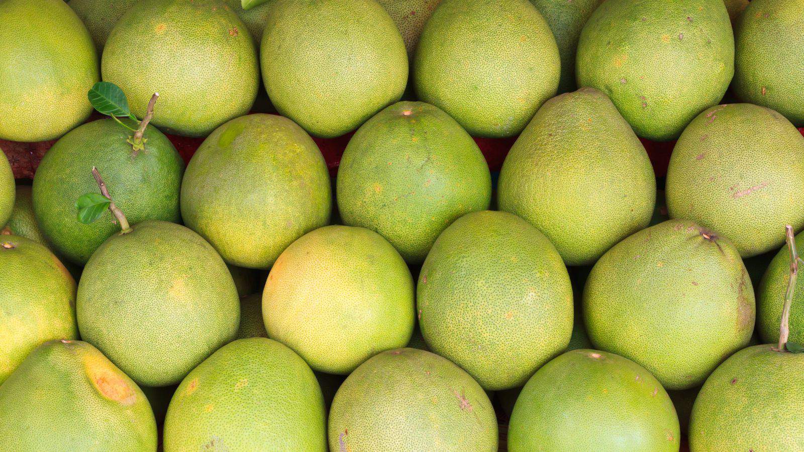 A display of green pomelos, underrated fruits often overlooked, arranged neatly in rows. Each one is round and varies slightly in shade, with a smooth texture. Some have small stalks and leaves attached, showcasing their natural charm and hidden potential as nutritional powerhouses.