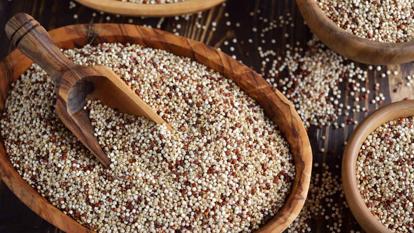 A wooden bowl filled with a mixture of white and red quinoa, accompanied by a wooden scoop. Surrounding the main bowl are smaller bowls partially filled with quinoa, placed on a dark wooden surface.