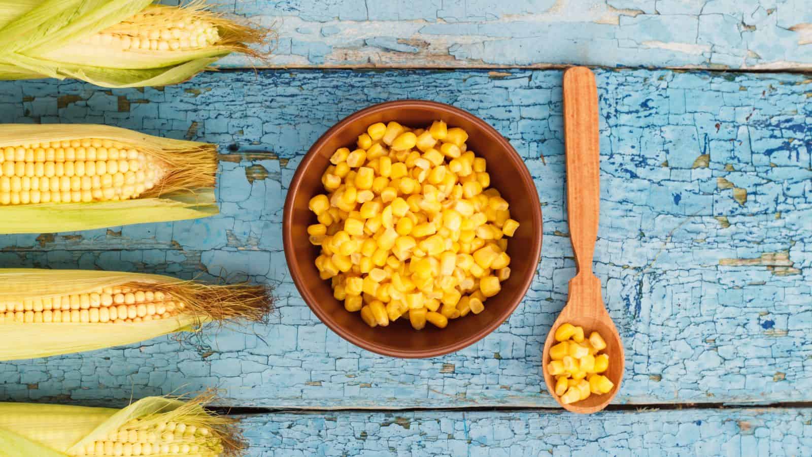 A bowl of corn kernels and a wooden spoon with corn on a blue wooden surface. Three ears of corn with husks partially removed are on the left side. The background features a rustic, distressed texture.