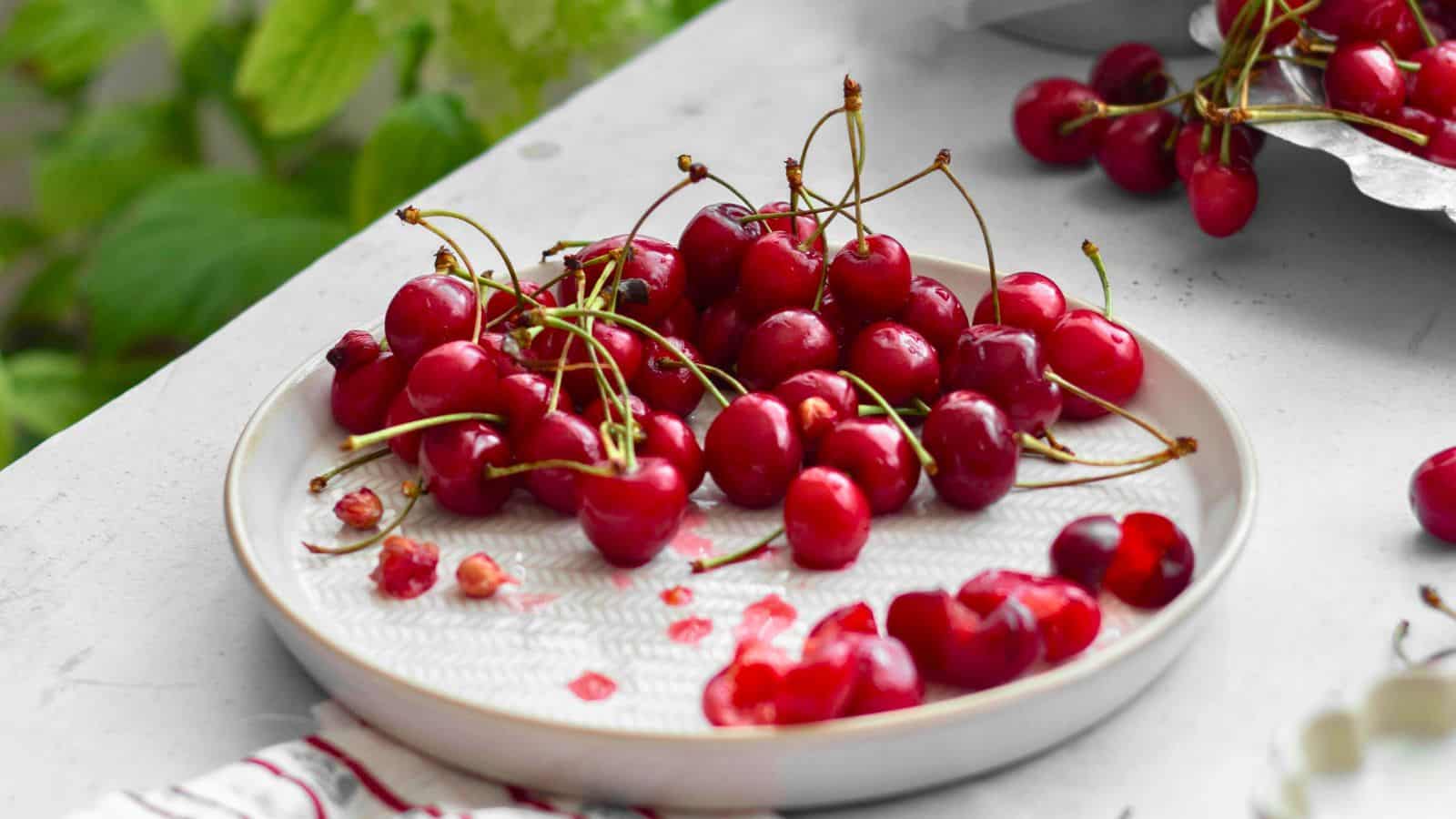 A white plate filled with fresh red cherries sits on a light-colored surface. Some cherries spill off the plate, and a few pits are visible. In the background, more cherries are scattered on the surface. Lush green leaves are partially visible.