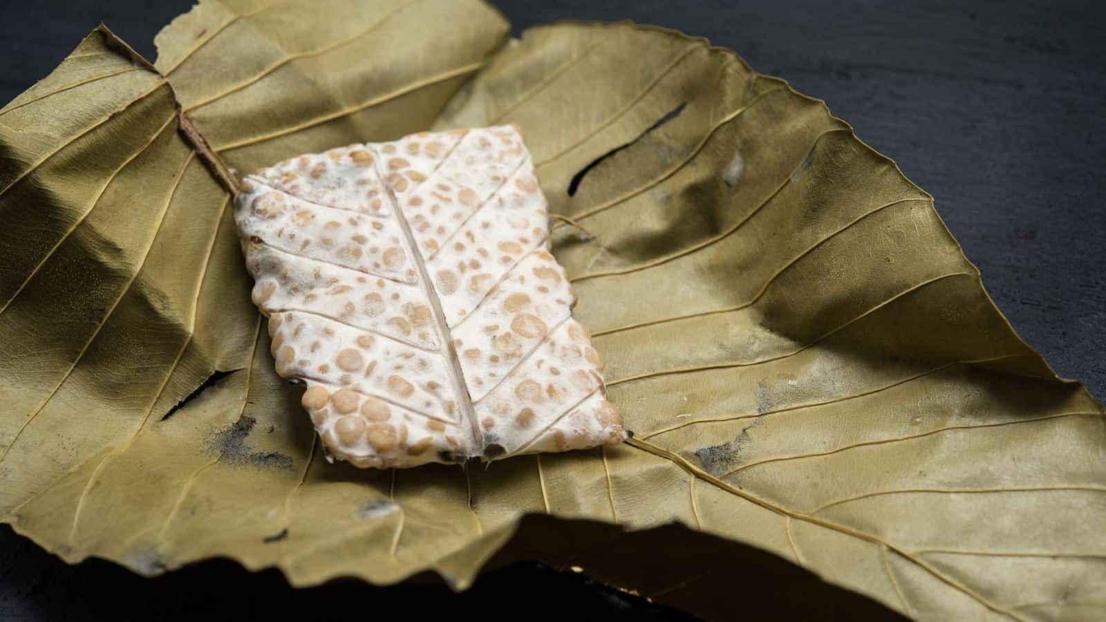 A rectangular piece of tempeh rests on a large, dry leaf with prominent veins. The surface of the tempeh shows a pattern resembling the leaf veins underneath. The background is a dark, textured surface.