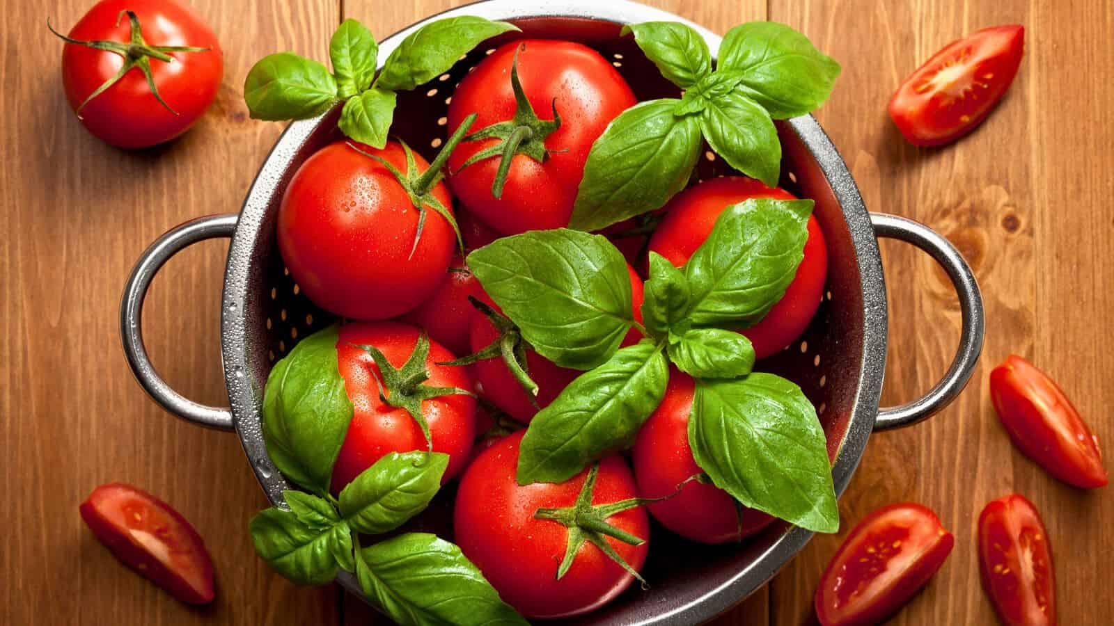 A colander filled with ripe red tomatoes and fresh basil leaves sits on a wooden surface. Sliced tomatoes are scattered around the colander. The scene is well-lit, emphasizing the vibrant colors of the vegetables and herbs.