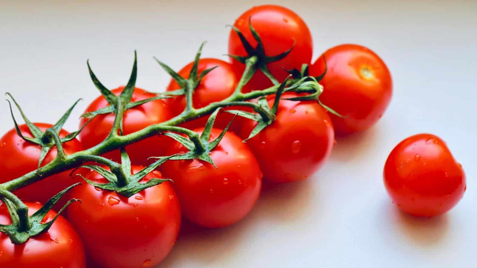 A cluster of fresh, red tomatoes on a vine is lying on a smooth surface. One tomato is separated from the group, resting nearby. Small water droplets are visible on the tomatoes, indicating freshness.