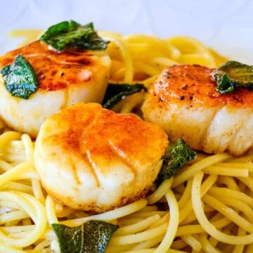 A plate of spaghetti topped with three seared scallops and garnished with crispy sage leaves makes for a perfect Thanksgiving seafood dish. Presented elegantly on a white plate, it's an ideal addition to your holiday meal lineup.