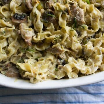 A close-up of a white dish filled with creamy mushroom pasta. The dish contains wide noodles mixed with mushrooms and herbs, set on a striped cloth background.