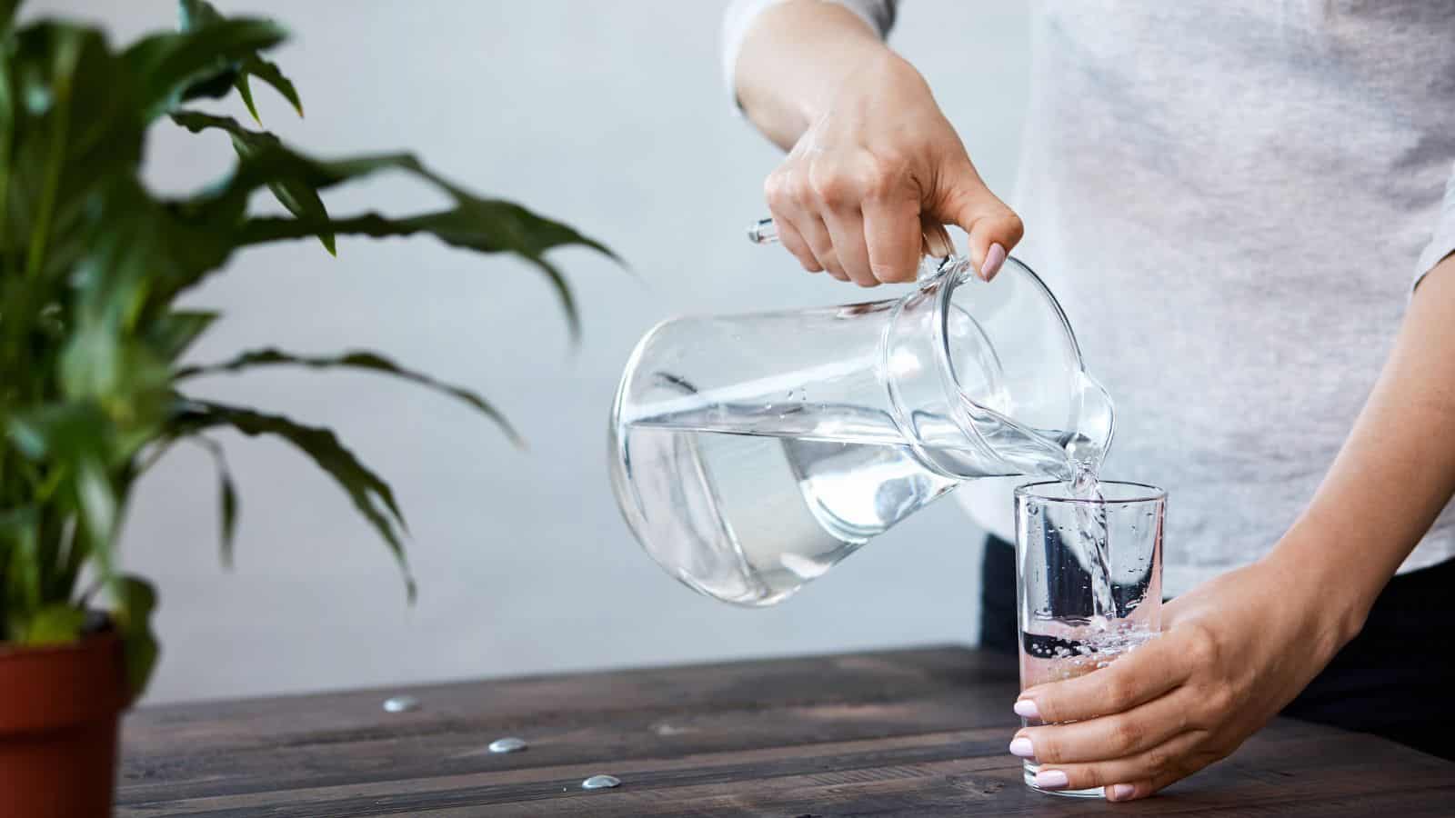 A person in a gray shirt is pouring water from a clear glass pitcher into a glass on a wooden table, offering simple tips for a healthier holiday feast. A potted plant with green leaves is positioned to the left of the person, enhancing the scene's freshness and vitality.