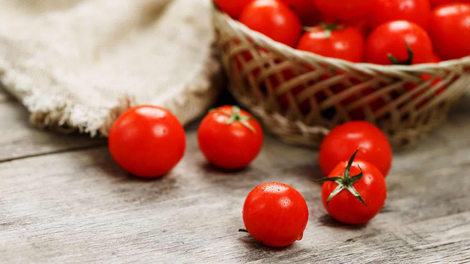 A basket filled with red cherry tomatoes is placed on a wooden surface. Some tomatoes are scattered outside the basket. A burlap cloth is partially visible in the background.