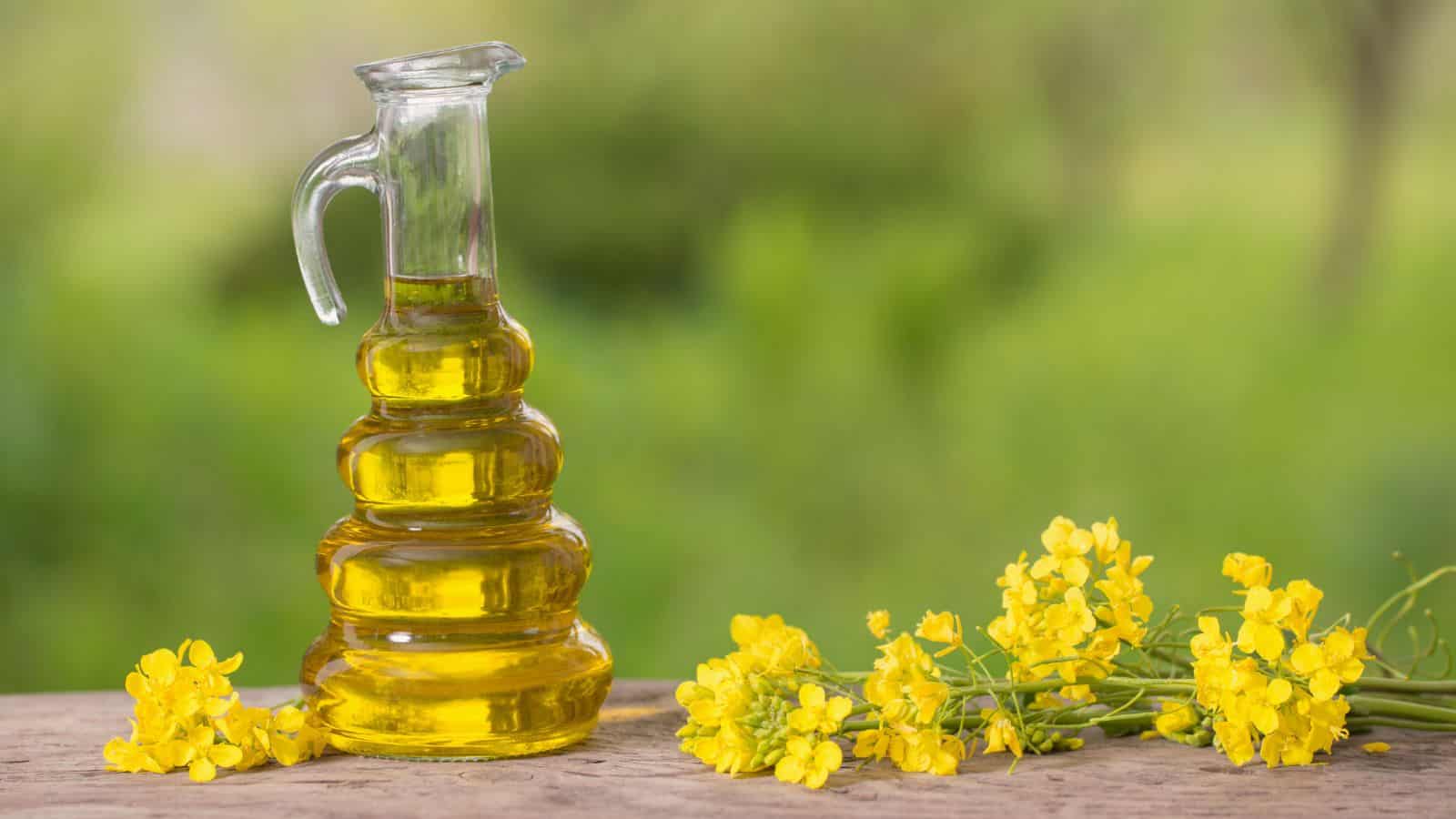 A glass bottle filled with rich, golden oil stands on a wooden surface. Next to it, blooming yellow flowers add a touch of vibrancy. The background is a blurred green landscape, suggesting an outdoor setting and highlighting the difference between toxic substances and healthy oils found in nature.