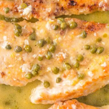 Close-up of chicken piccata with browned chicken cutlets in a lemon butter sauce, topped with capers. Perfect for family meals, this dish invites everyone to reach for seconds.