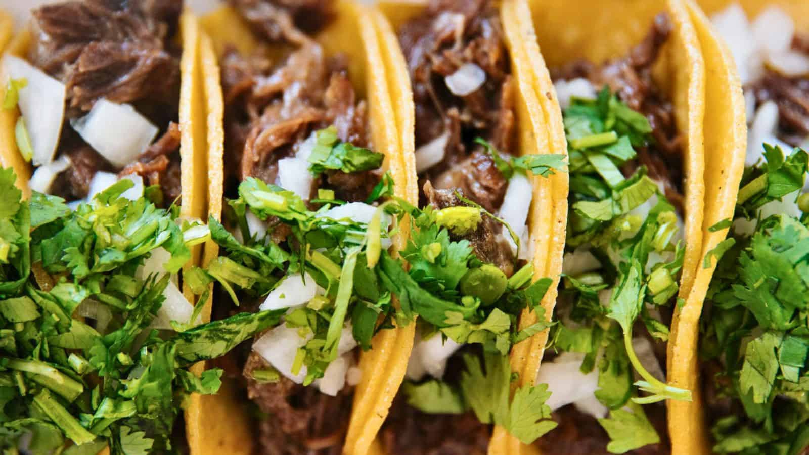 Close-up of four tacos filled with shredded beef, topped with chopped onions and fresh cilantro, on corn tortillas. The tacos are arranged side by side, filling the entire frame with their vibrant ingredients.