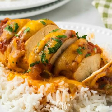 A plate of white rice topped with sliced chicken breast covered in melted cheese, diced tomatoes, and herbs sits ready to delight as part of your favorite chicken meals. A green and white checkered napkin is in the background.