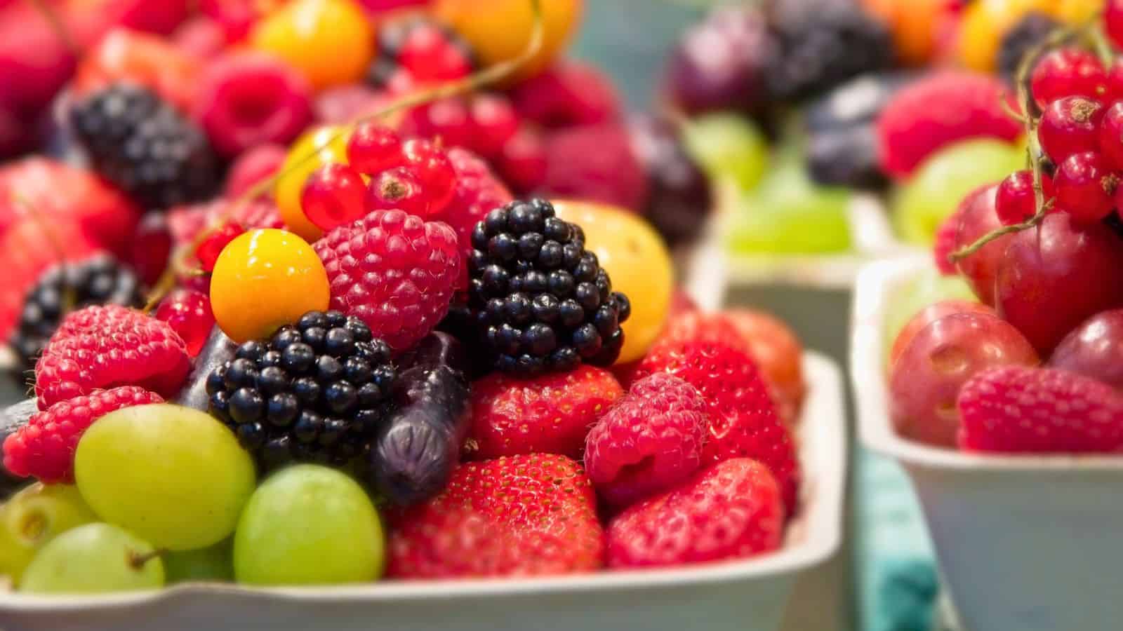 Close-up of a variety of colorful fruits in a white container. The assortment includes blackberries, raspberries, strawberries, red currants, grapes, and cherry tomatoes, all vibrant and fresh, with more fruit in the background.