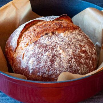 A round loaf of crusty bread sits on parchment paper in a red cast iron Dutch oven. The bread has a golden-brown, flour-dusted crust.