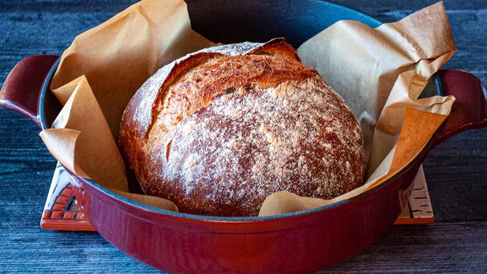 A round loaf of crusty bread sits on parchment paper in a red cast iron Dutch oven. The bread has a golden-brown, flour-dusted crust.