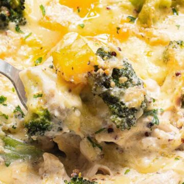 A cheesy chicken and broccoli casserole with a spoon lifting a portion. The dish features melted cheese, visible chunks of chicken, broccoli, and sprinkled herbs on top, with a creamy texture throughout.