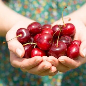 A pair of hands is holding a large handful of red cherries with stems. The background shows a blurred floral pattern, suggesting a dress or fabric. The scene is outdoors, indicated by the lighting and greenery.