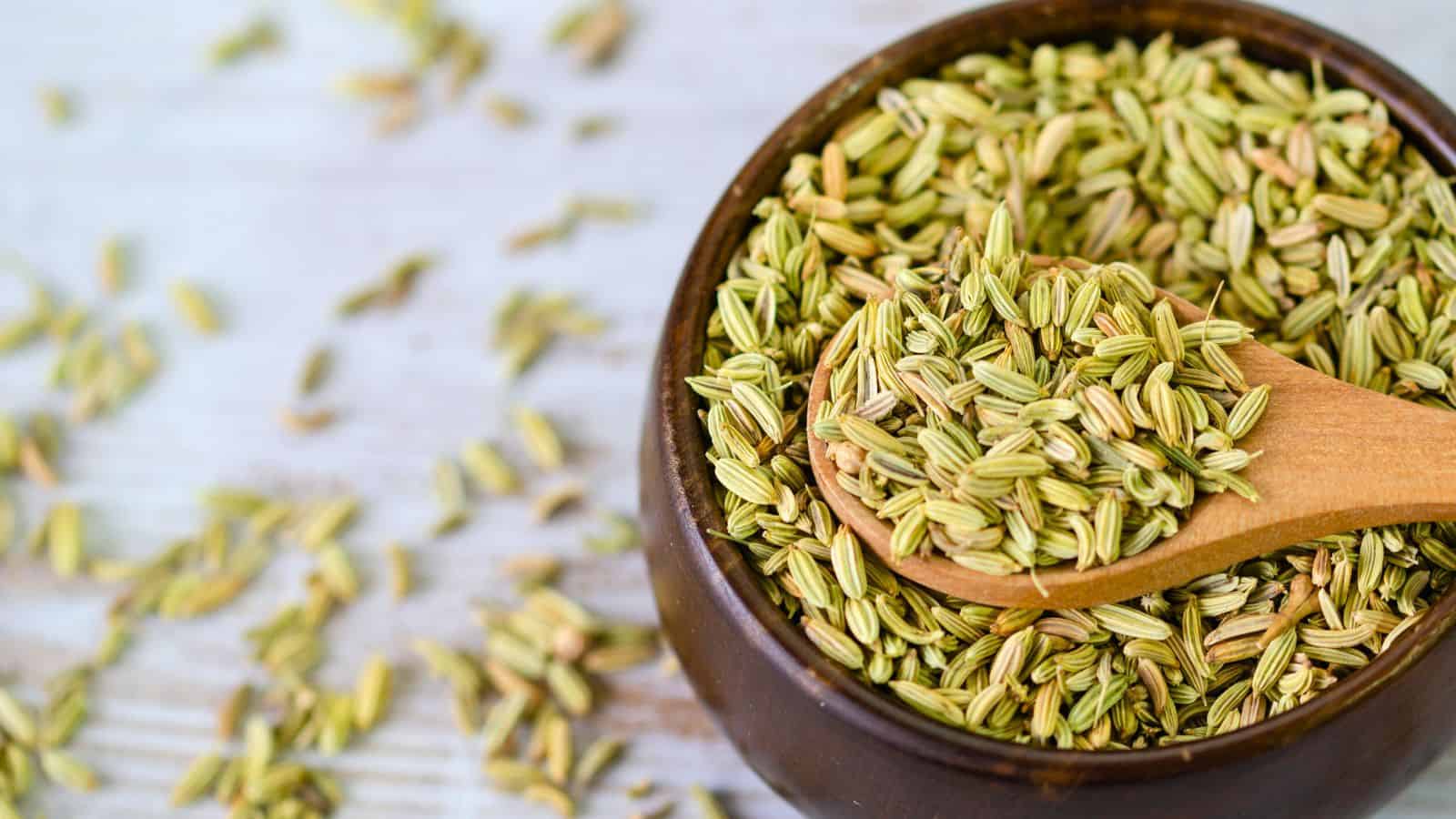 A wooden bowl filled with dried fennel seeds on a light wooden surface. A wooden spoon rests in the bowl, also topped with fennel seeds. Some seeds are scattered around the bowl.