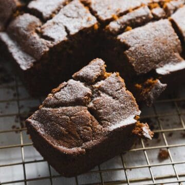 A slice of gluten-free chocolate cake dusted with powdered sugar rests on a cooling rack. The moist cake, resembling a gingerbread loaf with its cracked top and slightly rough texture, sits among other slices, emphasizing a homemade aesthetic.