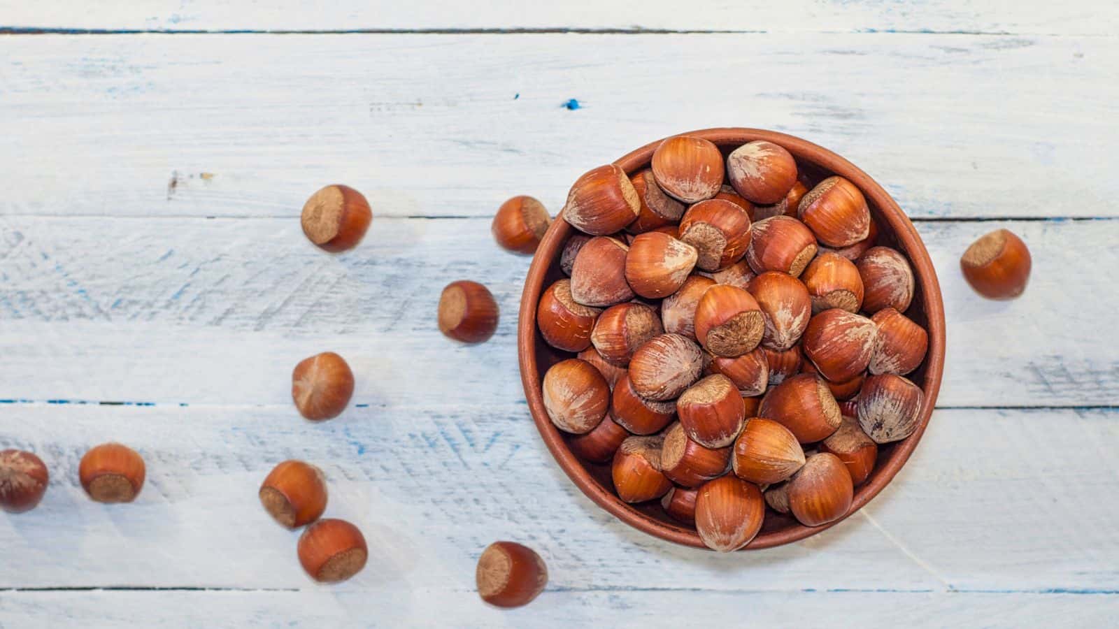 A wooden bowl filled with hazelnuts is centered on a white wooden surface. Several hazelnuts are scattered around the bowl. The nuts have a brown shell and are unpeeled.