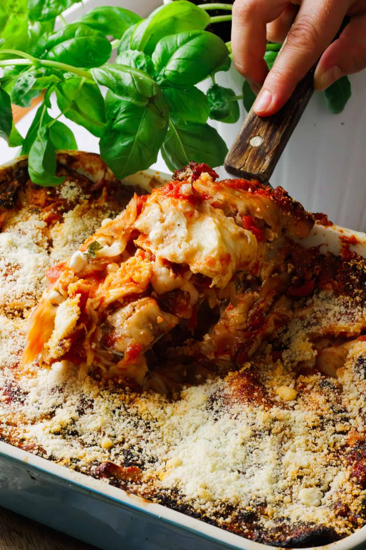 A casserole dish filled with baked matzo lasagna, topped with parmesan cheese. A hand holds a spatula lifting a portion. Fresh basil leaves are visible in the background. The lasagna, made with cottage cheese, has a golden, crispy top.
