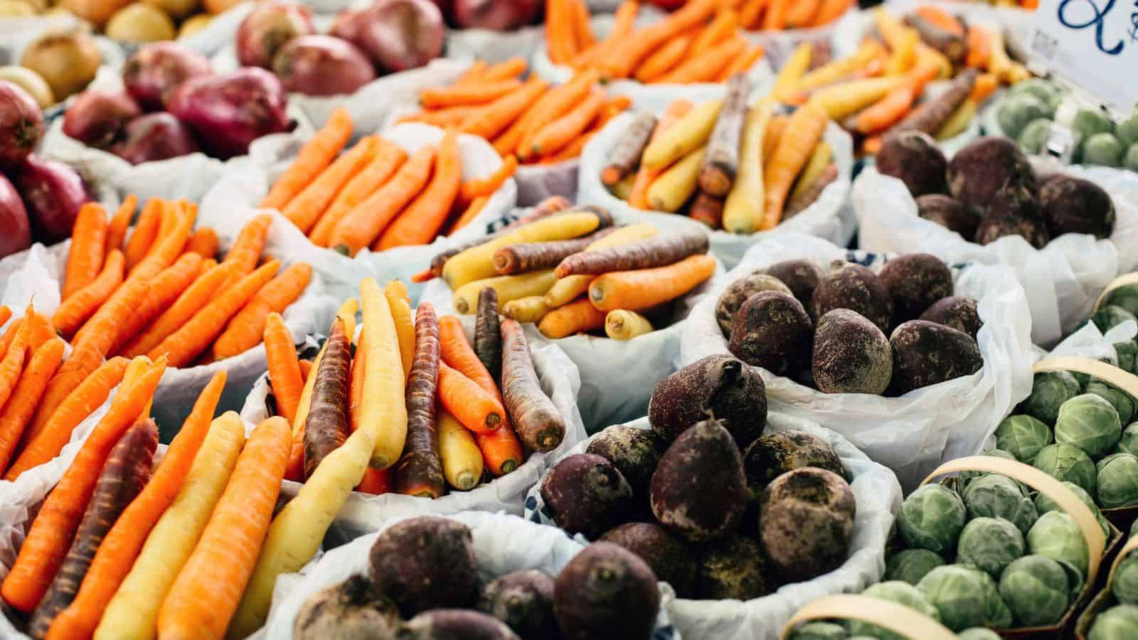 An assortment of fresh vegetables displayed at a market includes various types of carrots in shades of orange and yellow, purple turnips, and Brussels sprouts, all arranged in baskets.