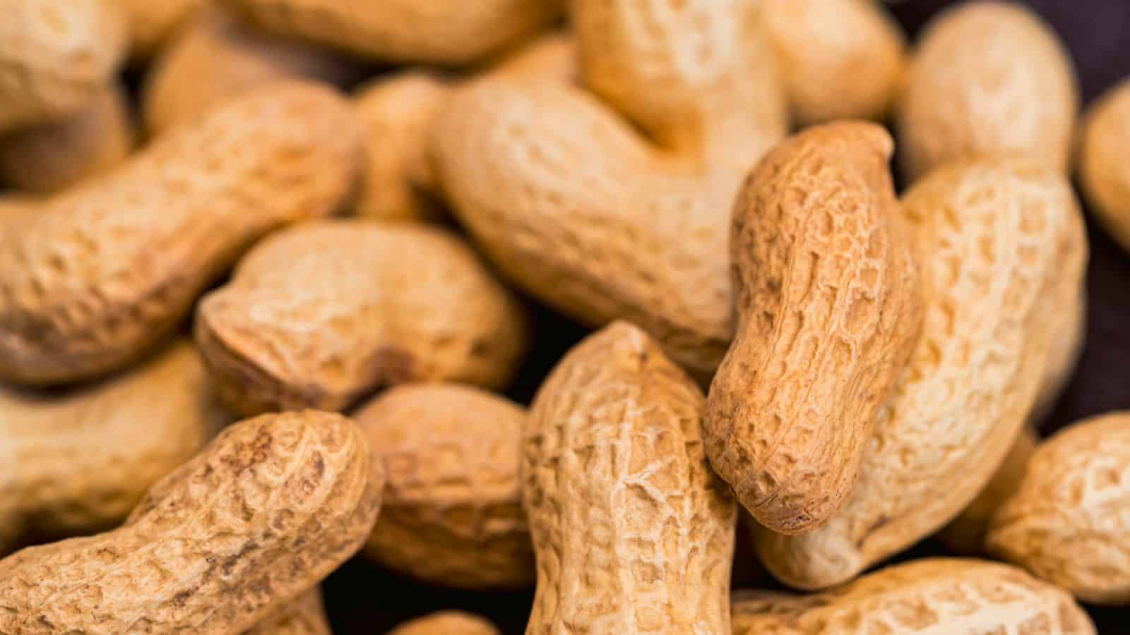 Close-up of several unshelled peanuts. The peanuts have a textured, wrinkled surface and are in various orientations, creating a dense, overlapping arrangement. The color is a natural light brown, typical of peanut shells.