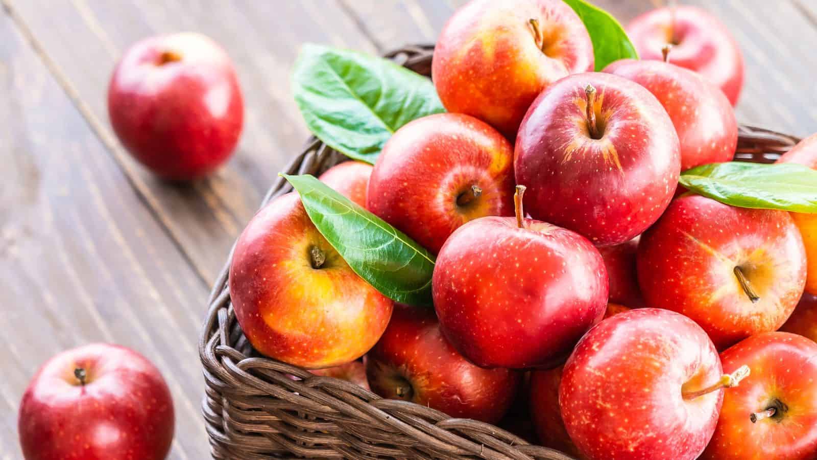 A basket filled with shiny red apples, some with leaves attached, placed on a wooden surface. Two apples are beside the basket. The scene depicts a rustic and fresh presentation of the fruit.