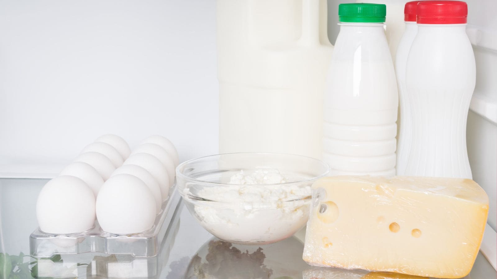 A refrigerator shelf containing a carton of white eggs, a clear bowl of cottage cheese, a block of Swiss cheese, a large plastic milk jug, and two smaller plastic bottles with red and green caps, presumably containing milk or other dairy products.