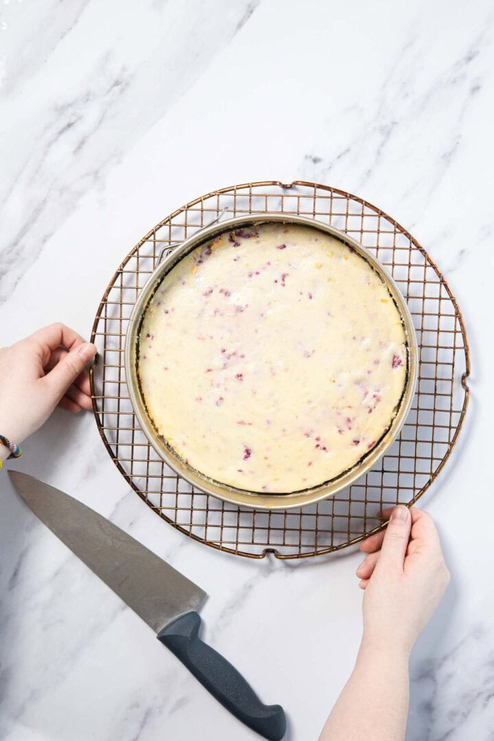 A person places a Raspberry Ricotta Cheesecake with berry pieces on a cooling rack, while a large kitchen knife rests on the marble countertop beside them.
