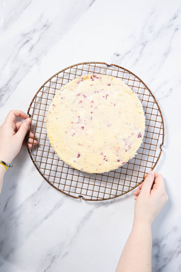 A person places a round Raspberry Ricotta Cheesecake with visible berry pieces on a circular wire cooling rack, viewed from above on a white marble surface.