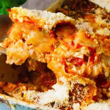 A slice of baked lasagna is being lifted from a casserole dish. The lasagna layers are visible, with melted cheese, tomato sauce, and pasta. The dish is sprinkled with grated cheese. A leafy green plant is partially visible in the background.