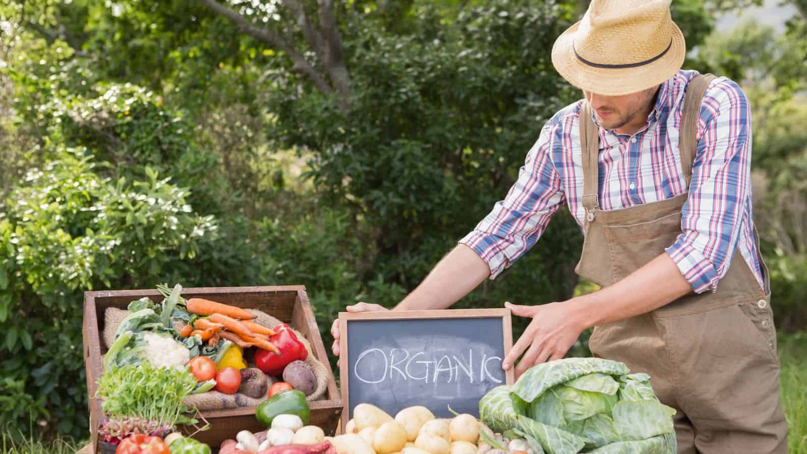A person wearing a straw hat and plaid shirt arranges a chalkboard sign reading "ORGANIC" beside crates filled with assorted vegetables on an outdoor table with greenery in the background.