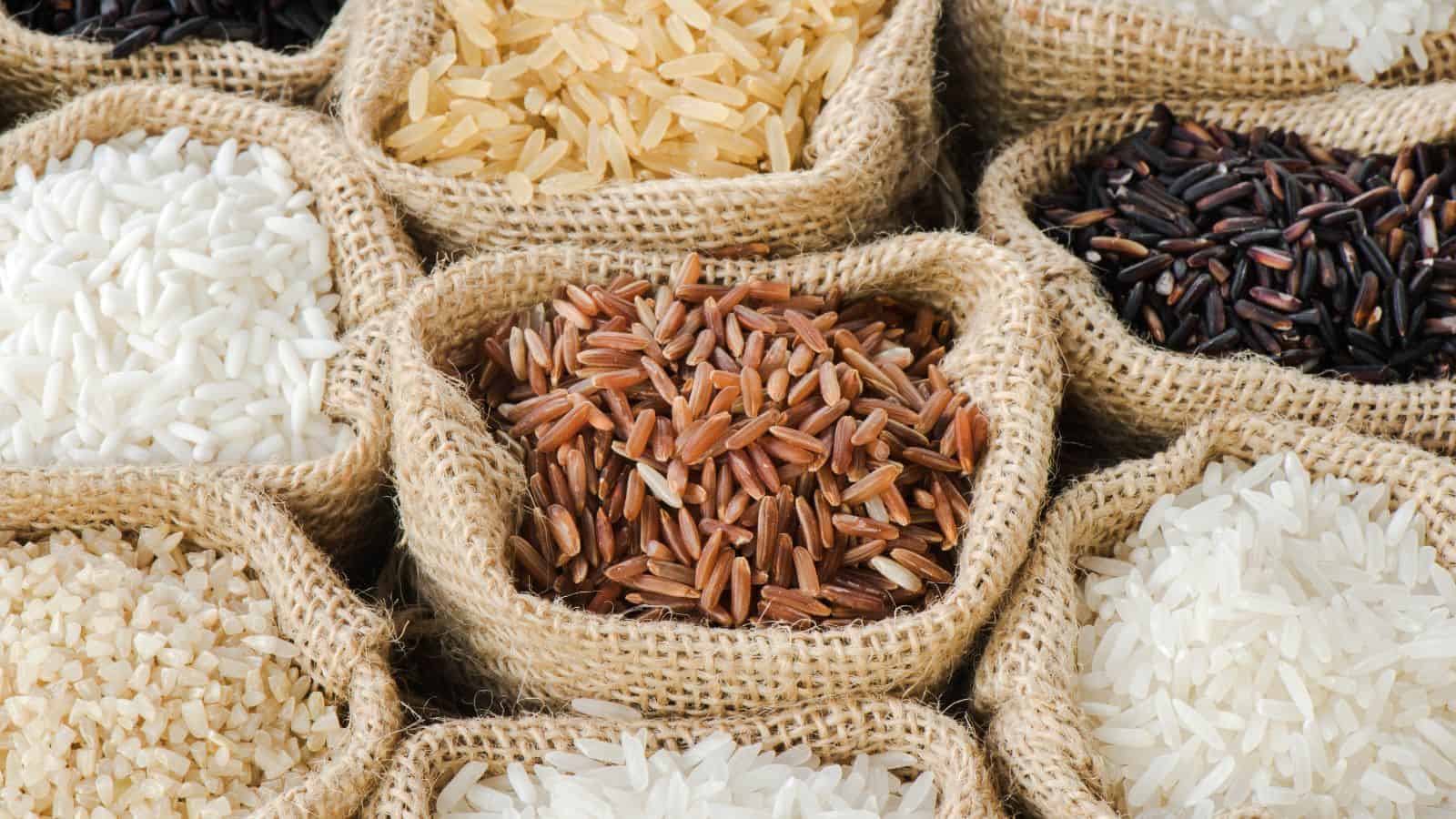 Several small burlap sacks filled with different types of rice, including white, brown, black, and red rice, are arranged closely together in a top-down view.