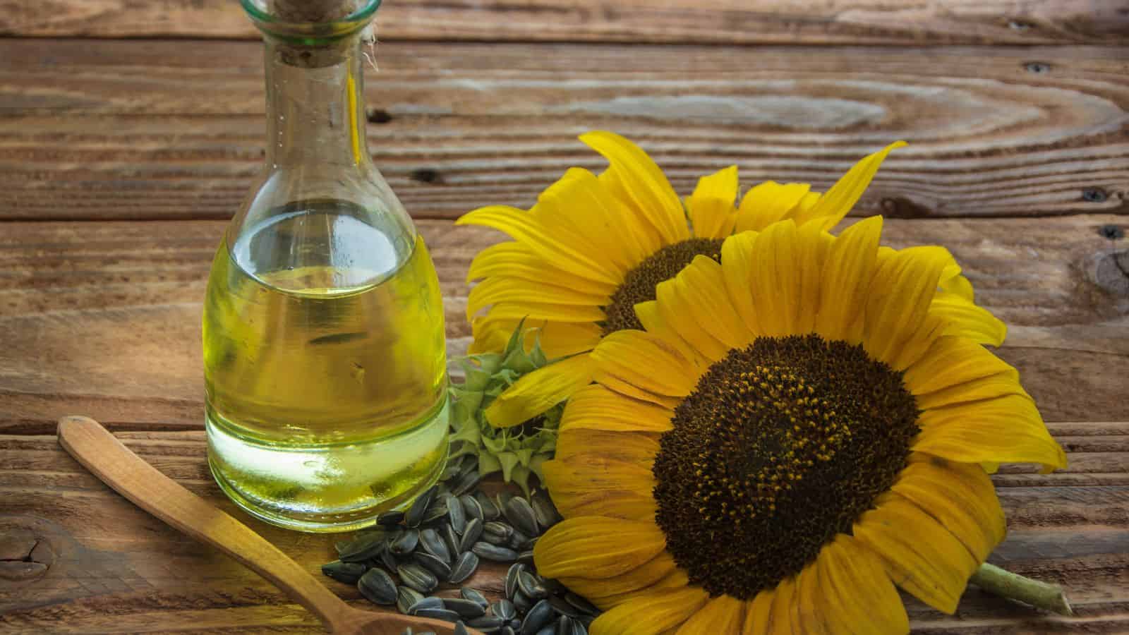 A glass bottle of sunflower oil sits on a wooden surface next to two sunflowers, sunflower seeds, and a wooden spoon.