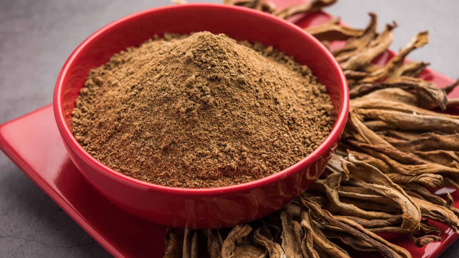 A red bowl filled with a mound of brown mushroom powder is placed on a red tray, surrounded by dried mushroom pieces.