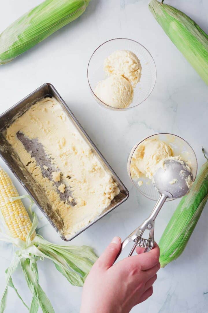 A hand scoops corn ice cream from a rectangular container into small glass bowls. Whole ears of corn, both husked and unhusked, are arranged around the container on a white surface.