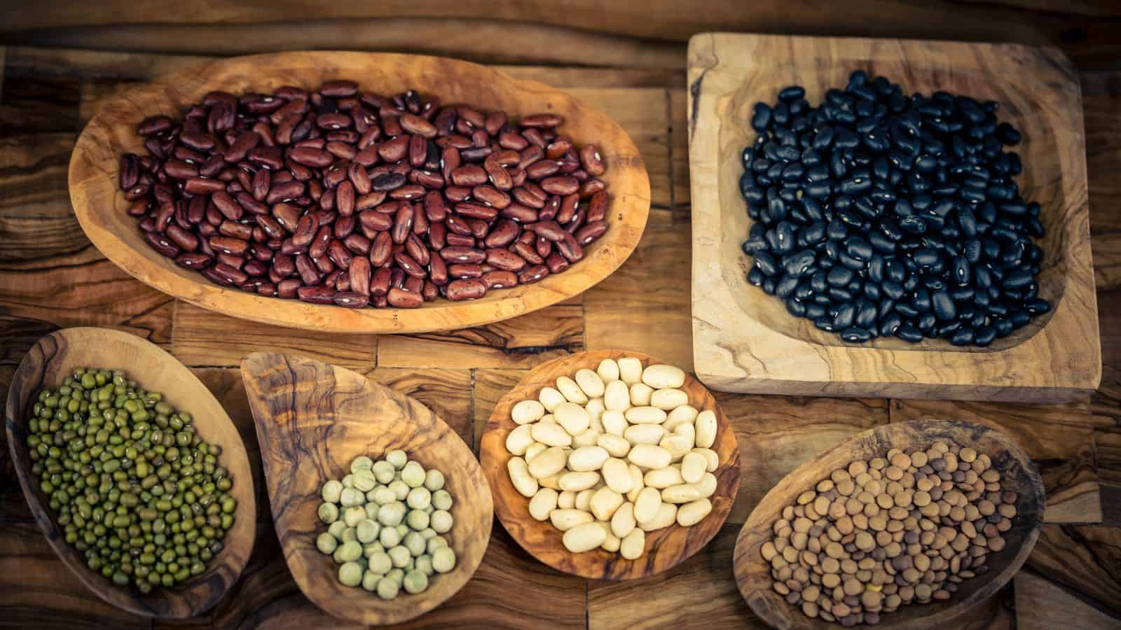 Assorted dry beans and lentils in wooden bowls on a wooden surface, including kidney beans, black beans, mung beans, white beans, chickpeas, and brown lentils.