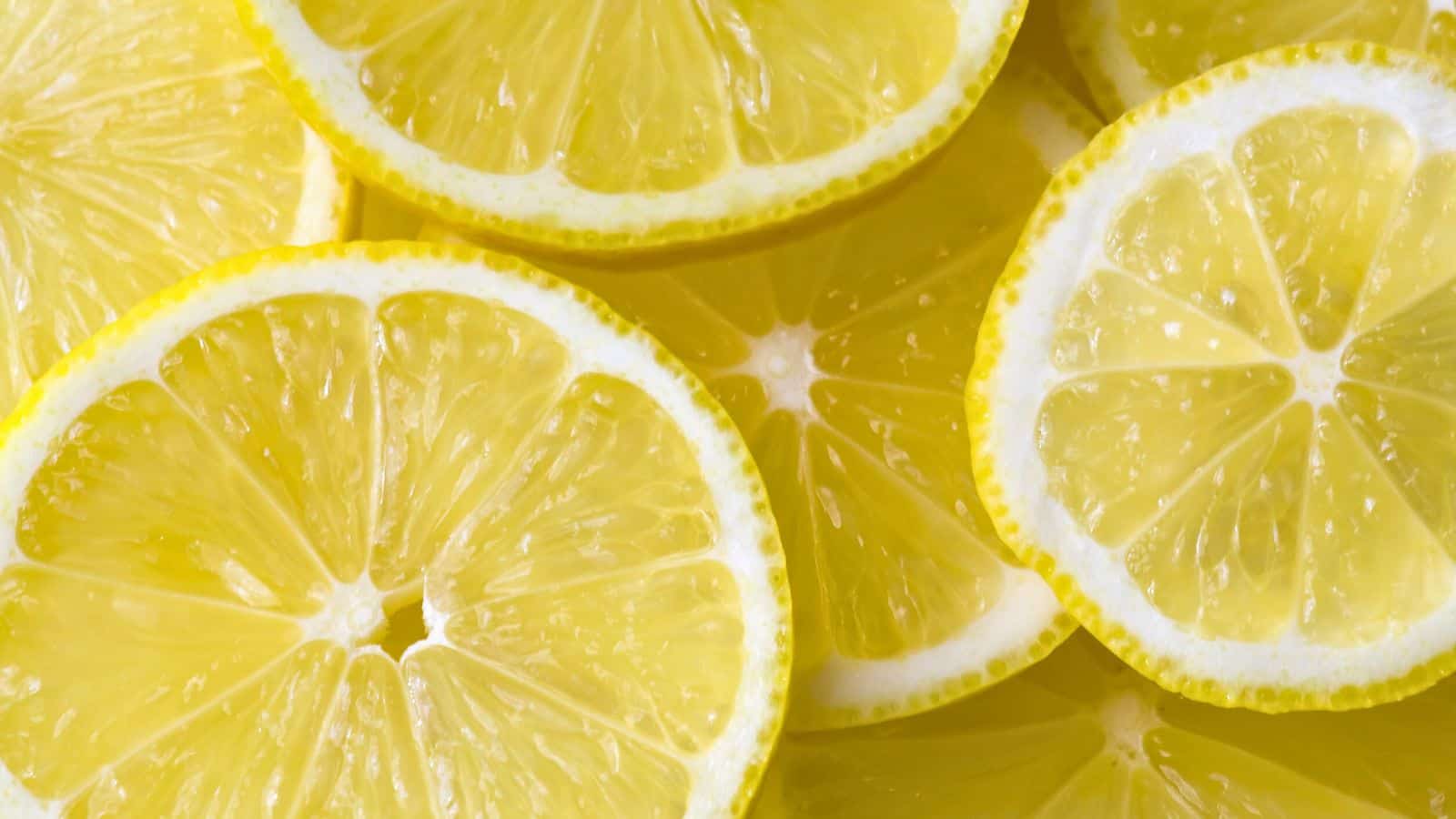 Close-up view of several overlapping slices of fresh yellow lemon, showing the translucent pulp and textured rind in detail.