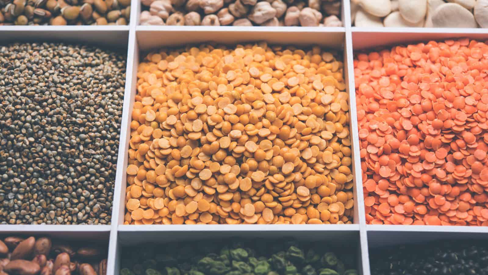 Assorted legumes and lentils in separate compartments of a wooden box, including green, yellow, and red varieties seen from above.